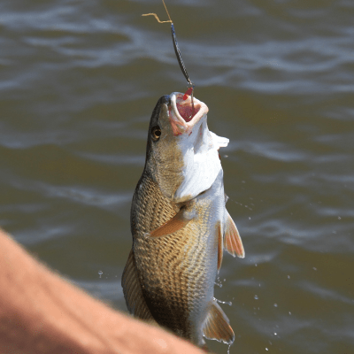 FISHING TOURS